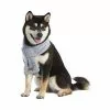 Koolaburra By UGG Cooper Sherpa Pet Scarf